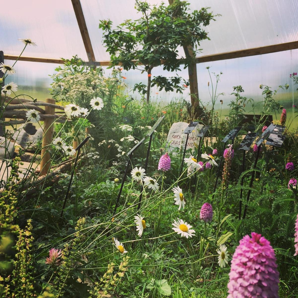Burren Nature Sanctuary Apartment